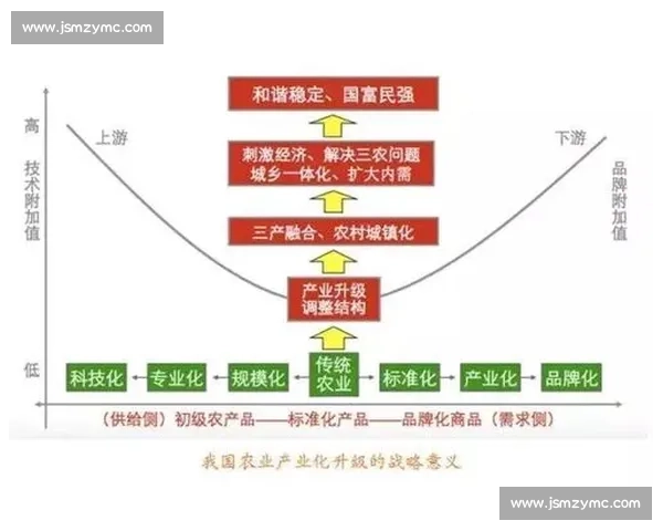 从顶级电竞赛事运营案例透视产业升级与品牌价值打造路径研究